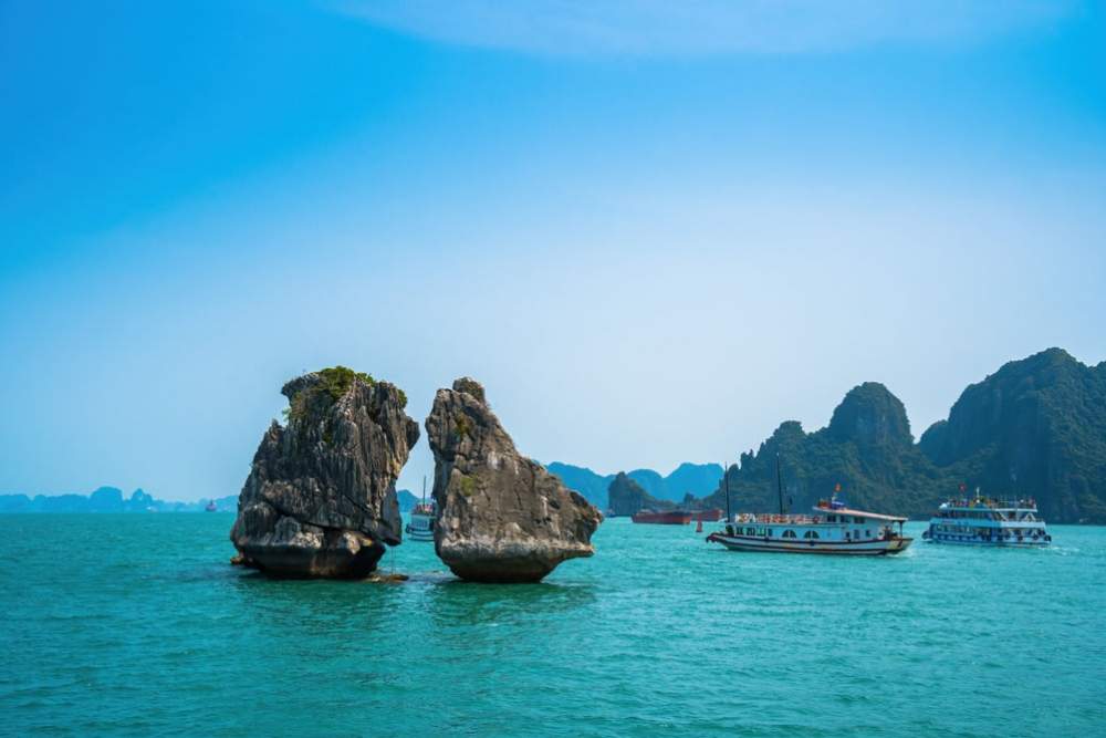 מפרץ האלונג